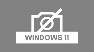 How To Fix Camera Not Working on Windows 11 Problem