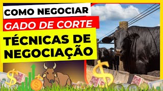 Como negociar gado de corte !! (técnicas de negociação)