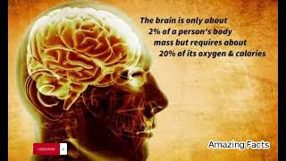 Amazing Facts | Life Facts @talibhussain6685