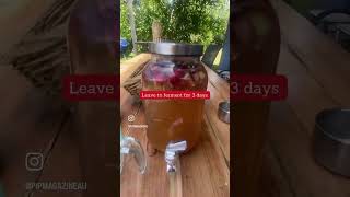 #shorts How to make rhubarb champagne