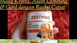 harga Madu Zestmag asli // Review Madu Zestmag obat asam lambung 082338106800