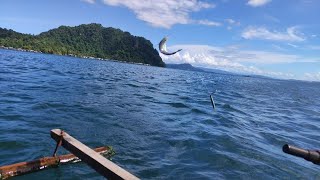 Mancing Baby Blue Fin || ikan Mainya di depan Perahu