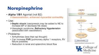 Basic Cardiovascular Pharmacology (Schell)