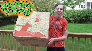 GUAVA TOYS SURPRISE BOX! Guava Juice Toy Unboxing | CollinTV