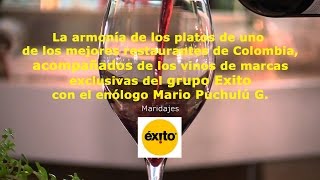 Platos y vinos grupo Exito y restaurante Etereo