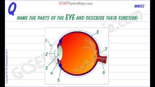 Structure of the Eye and Its Functions