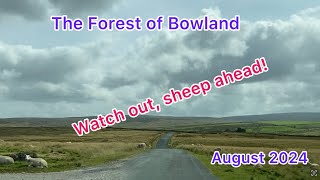 Sheep, Moorland and the town of High Bentham as we travel from Yorkshire to Lancashire