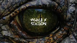 Aryay - Overwhelmed (Unlike Pluto Remix) | Whale X Station |