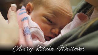 Avery Blake Westover - January 18, 2020 - 4K