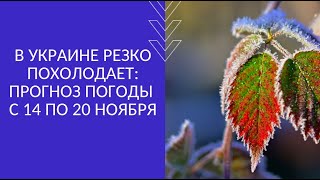 В УКРАИНЕ РЕЗКО ПОХОЛОДАЕТ: ПРОГНОЗ ПОГОДЫ С 14 ПО 20 НОЯБРЯ