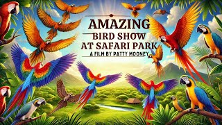 Amazing Safari Park bird show