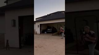 Epic basketball trick shot!!! #basketball #funny #trending #trickshots #viral