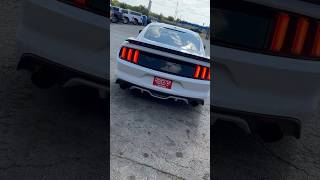 Cold start on 2016 ford Mustang GT “Corsa exhaust”  #mustang #ford #reels