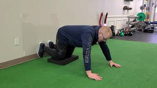 Wall Supported Push-Up Positon Plank w/ Corkscrew & Reach