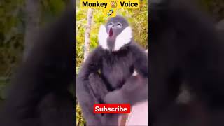 Monkey 🐒 Voice 😂 #shorts #youtubeshorts #animals #reels #viral #monkey #voice #awwanimals #cute