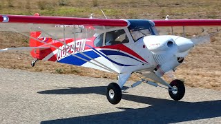 Carbon Cub / Motor DLE 222