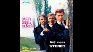 SELF MADE STEREO Bee Gees Sing & Play 14 Barry Gibb Songs