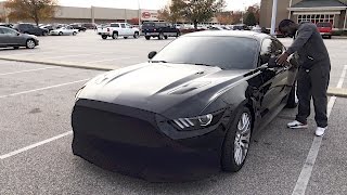 NoviStretch Front End Mask (15-17 Mustang)