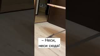 Как кошка приносит мышку #shorts #кошки #коты #кот #котики