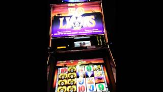 50 Lions slot machine bonus play