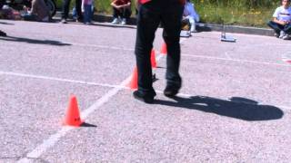 T-Rex Race - Slalom