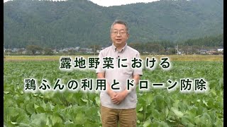 露地野菜における鶏ふんの利用とドローン防除