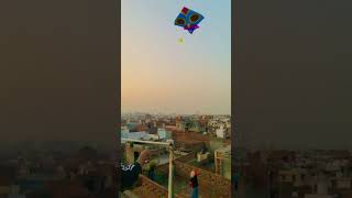 Blue 6 feet patang slow motion #kite  #patang  #youtubeshorts