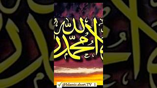 এ-ই আমল বেশি বেশি করে করুন 👈😌👆 #foryou #islamicvideo #viralshorts #youtubeshorts একটা কমেন্ট করুণ