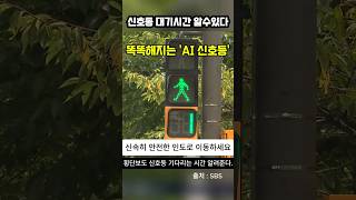 갈수록 똑똑해지는 'AI 신호등'