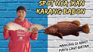 spot nya ikan karang BABON!!!!.