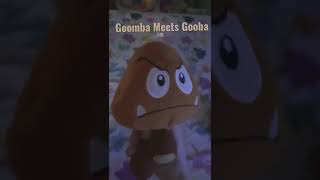 Goomba Meets Gooba