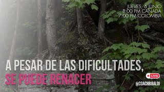 A pesar de las DIFICULTADES puedes RENACER