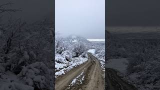 Wild Kakheti #georgia #trailrunning #mountains #snow #winter #грузия #горы #nature