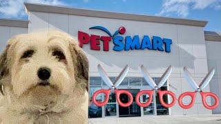 Princess Grooming at PetSmart Canada.