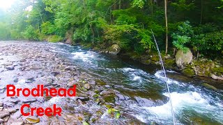 ADVENTURE on Brodhead Creek (Multi Species Fishing)