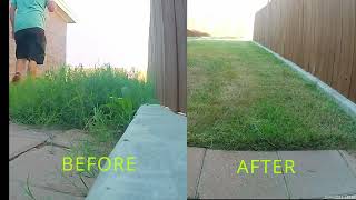 From Neglected to Stunning: The Shocking Lawn Transformation