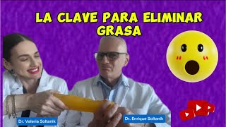 La Clave para Eliminar Grasa #live #grasa #dieta #viral #bajardepeso #youtubevideo #wow #doctor #yt