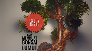 Cara Membuat Bonsai Lumut/How To Make Moss Tree #moss #terrarium #bonsai