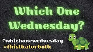 Ep 47~Which One Wednesday? #whichonewednesday #thisthatorboth