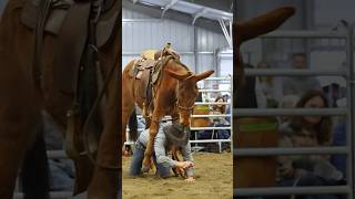 Man falls off mule, then crawls through its legs 🤯 #horse #farmanimals #mule #equestrian #horses