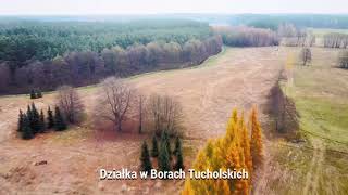 Działka w Borach Tucholskich