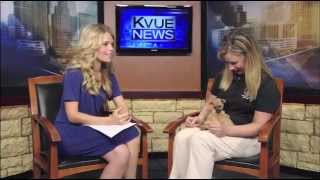 Pets of the Week: Piper and Prince - Lauralei Combs on KVUE News