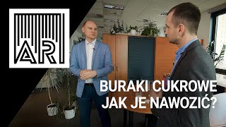 Nawożenie buraków cukrowych. Jak to robić? || AR #113