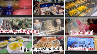 Grocery shopping | egg mayo sandwich recipe | Temu haul | free dental hospital | #vlog