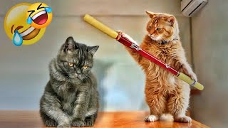 You Laugh You Lose😻🐶Funniest Dogs and Cats 2024😻🐈