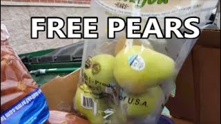 Free Pears  A Dumpster Diving Adventure