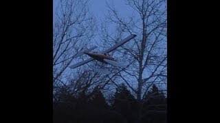 Beaver CRASHES into tree! Flew again even missing half the elevator.