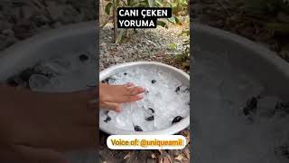 CANI ÇEKEN BOLİBON BÖCÜK VALİBOYU BONCUK BÖCÜK