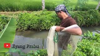 Menjala Ikan Wader langsung di masak di loksai