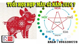 MẪU SƠN NHÀ ĐẸP | Mẫu Sơn Nhà Đẹp Năm 2024 Phù Hợp Cho Người Tuổi Hợi | Nhà Đẹp Novax